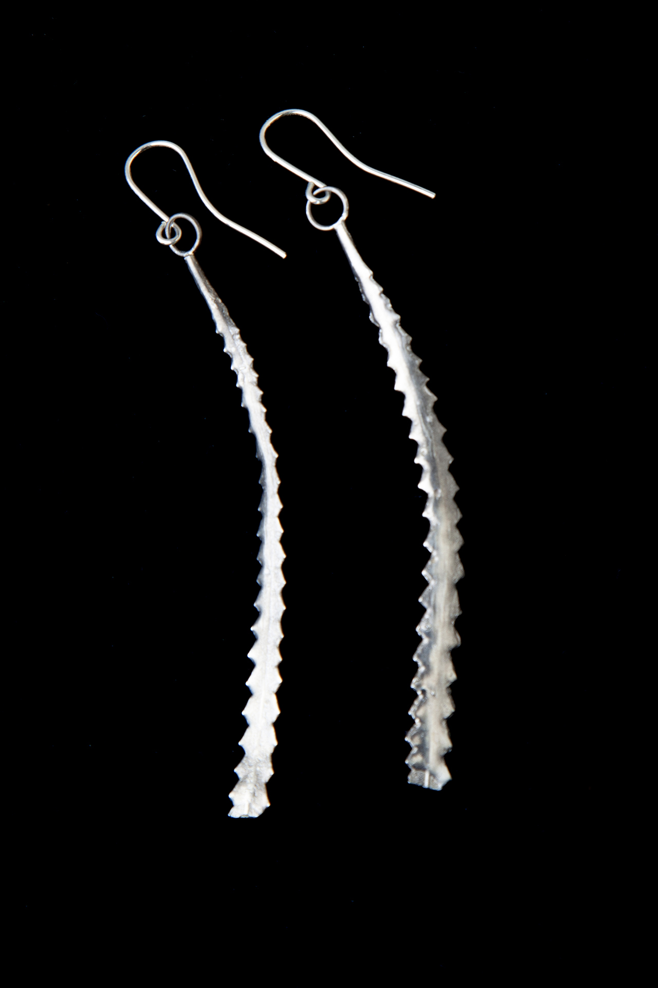 Pair of protea leaf earrings cast in sterling silver